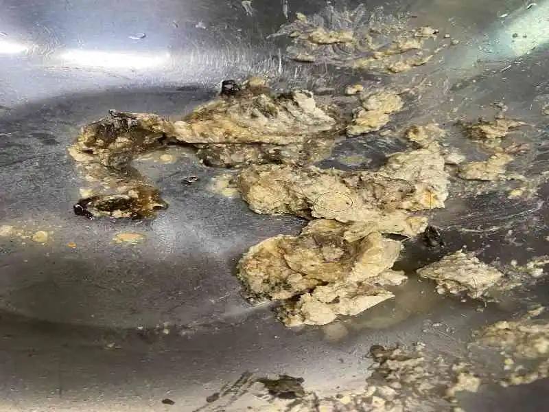 남양주 싱크대에 기름을 버리면 생기는 일